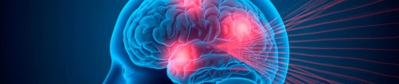 como-trabaja-la-EMT-en-tu-cerebro-2